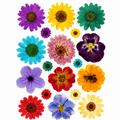 Flower MIX UV DTF Sticker Sheet A6 Type A